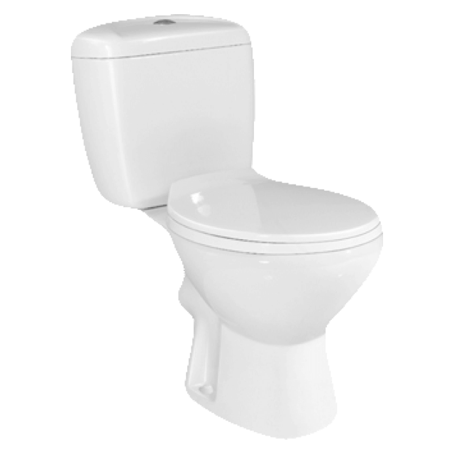 Vitreous china wall-hung WC with horizontal outlet